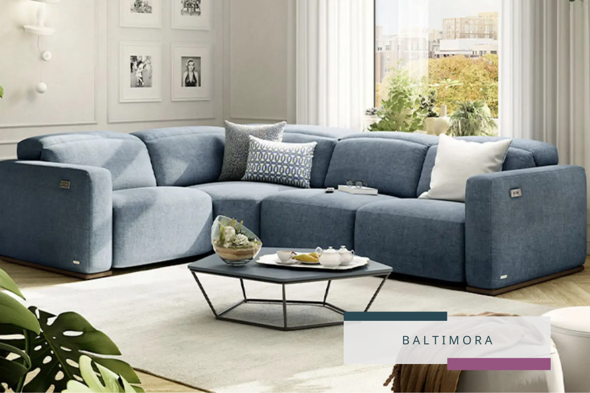 Adrenalina C006 by Natuzzi Editions — RK Furniture Gallery, Prince